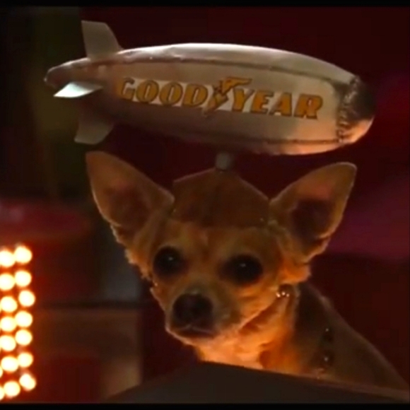 Official Movie Prop! ♥️ LEGALLY BLONDE 2, Bruiser Woods' Goodyear Blimp Hat - Picture 2 of 13